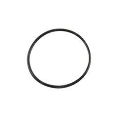 Picture of O-Ring
