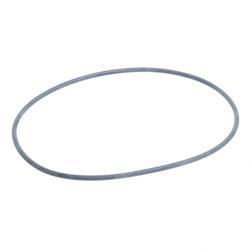 Picture of O-Ring