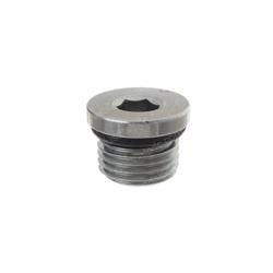 Picture of Plug - Str Thd With O-Ring