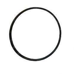 Picture of O-Ring