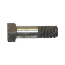 Picture of Bolt