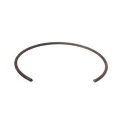 Picture of Ring-Retaini