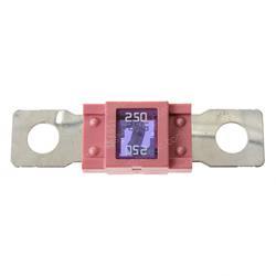 Picture of Fuse 250a