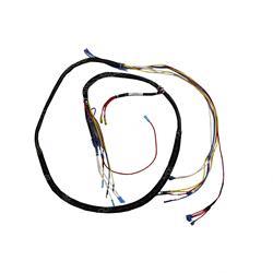 Picture of Harness