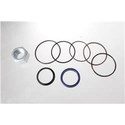 Picture of Seal Kit - Hydraulic Cylinder