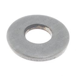 Picture of Washer, Belleville, .31 Ss