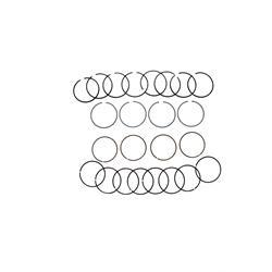 Picture of Ringpiston