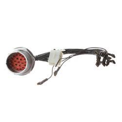 Picture of Harness Control Box Ce