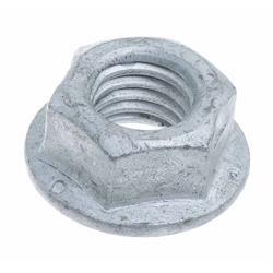 Picture of Nut