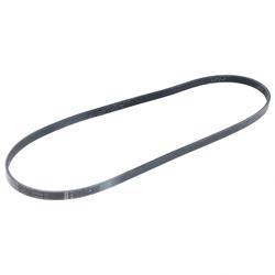 Picture of Belt - Serpentine