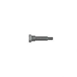 Picture of Screw
