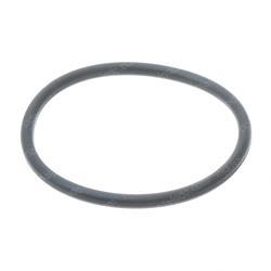 Picture of O-Ring