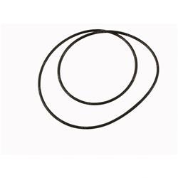 Picture of O-Ring