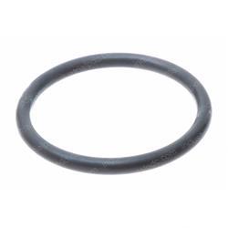 Picture of O-Ring