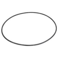 Picture of O-Ring