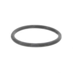 Picture of O-Ring