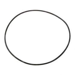 Picture of O-Ring