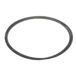 Picture of O-Ring