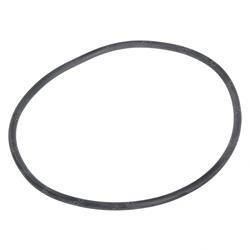 Picture of O Ring