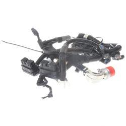 Picture of Harness Etr