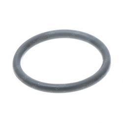 Picture of O-Ring