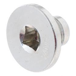 Picture of Plug- Oil Pan