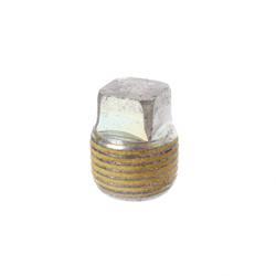 Picture of Plug - W/Head Taper