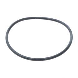 Picture of O-Ring