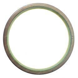 Picture of Seal - Lip