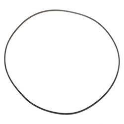 Picture of Seal
