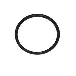 Picture of O-Ring