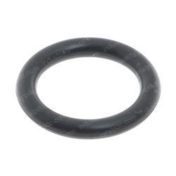 Picture of O-Ring