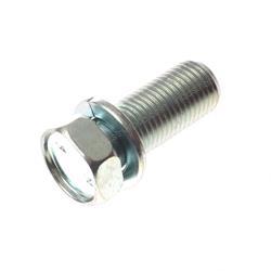 Picture of Bolt W/Washer