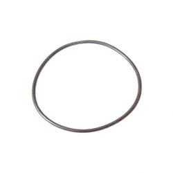 Picture of O-Ring