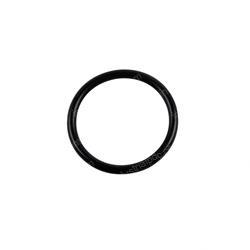 Picture of O-Ring