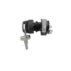 Picture of Switch - Key