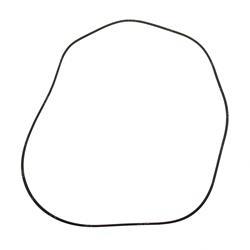 Picture of O-Ring