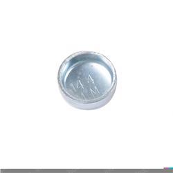 Picture of Plug - Expansion