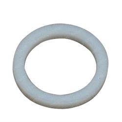 Picture of Back Up Ring