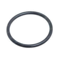 Picture of O Ring