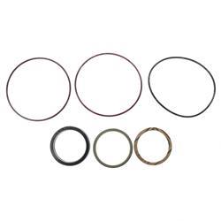 Picture of Seal Kit - Swing Cylinder