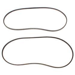 Picture of Belt-Raw Edg