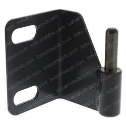 Picture of Hinge Wldt -  Male -  Rh