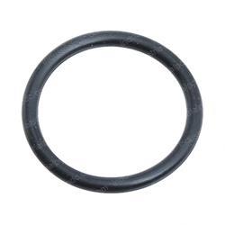 Picture of O-Ring