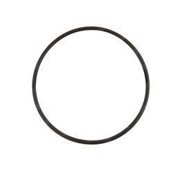 Picture of O-Ring