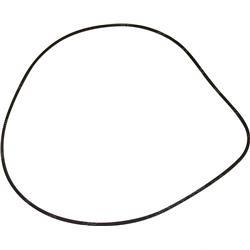Picture of O-Ring