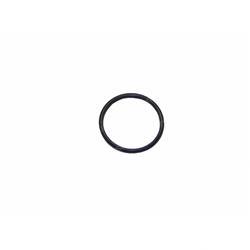 Picture of Seal - Thermostat
