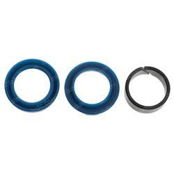 Picture of Seal Kit Bolzoni Side Shift