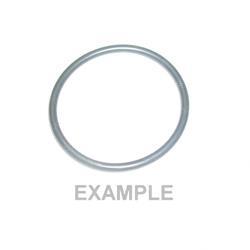 Picture of O-Ring