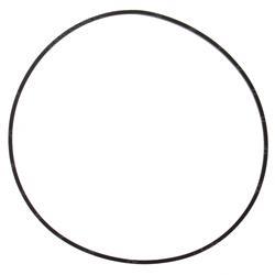 Picture of Square Ring Rexroth# 21853216